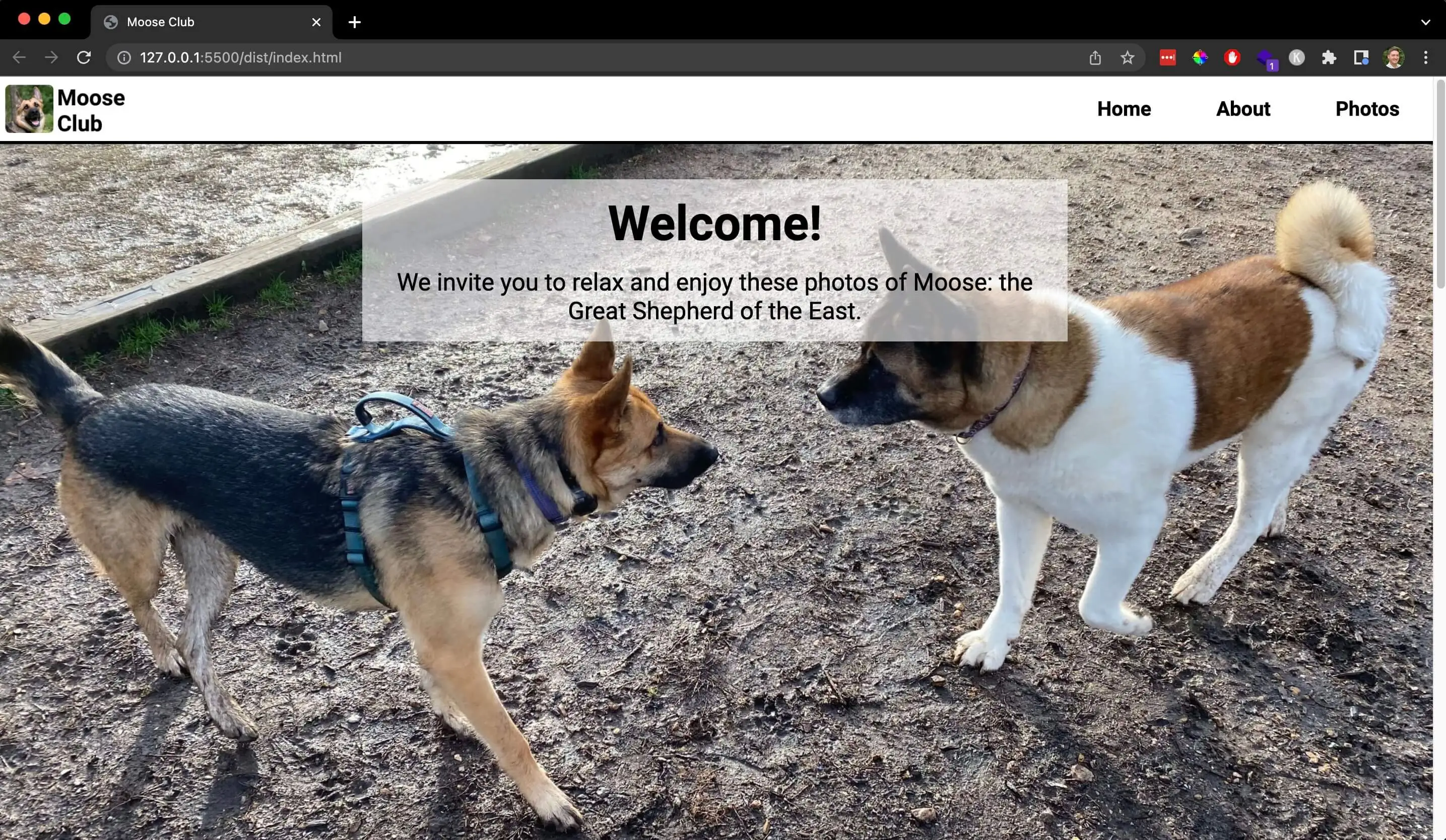 A screenshot of the Moose Club website hero banner.